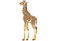 Pochoirs avec des animaux - Bébé girafe