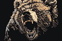 Pochoirs avec des animaux - Visage de grizzly