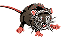 Sjablonen met dieren - Bange muis