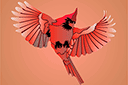 Pochoirs avec des animaux - Cardinal rouge 3