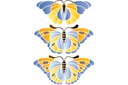 Stencils met vlinders en libellen - Grote vlinders 2