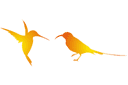 Stencils met silhouetten en contouren - Twee kolibries