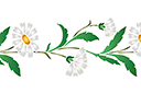 Pochoirs pour bordures avec plantes - Marguerites sauvages (bordure)