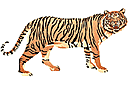Pochoirs avec des animaux - Tigre