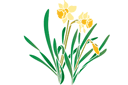 Stencils met tuin- en veldbloemen - Gele narcissen