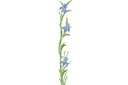 Pochoirs avec jardin et fleurs sauvages - Gros iris