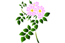 Pochoirs floraux par petits lots - Fleurs sauvages 68. Paquet de 6 pcs.