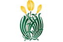 Pochoirs avec jardin et fleurs sauvages - Tulipes jaunes