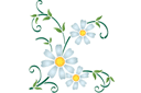 Pochoirs avec jardin et fleurs sauvages - Coin camomille 43