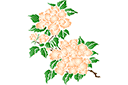 Pochoirs avec jardin et fleurs sauvages - Gros chrysanthèmes A