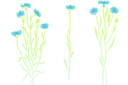 Pochoirs avec jardin et fleurs sauvages - Bleuets 49