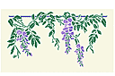 Pochoirs pour bordures avec plantes - Grande glycine