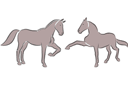 Sjablonen met dieren - Twee paarden 5c