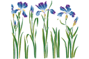 Stencils met tuin- en veldbloemen - Bloembed van irissen