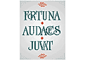Stencils met teksten en sets letters - Zin in het Latijn 8