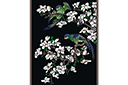 Sjablonen met dieren - Papegaaien op magnolia