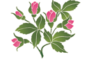 Stencils met tuin- en wilde rozen - Roze motief