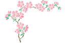 Sjablonen voor hoeken - Hoek met sakura