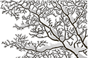 Pochoirs avec arbres et buissons - Branches sous la neige