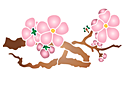 Pochoirs avec jardin et fleurs sauvages - Branche de Sakura avec des fleurs A