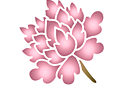 Pochoirs floraux par petits lots - Fleur chinoise 4. Paquet de 6 pcs.