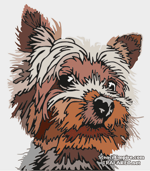 Yorkshire Terrier - sjabloon voor decoratie