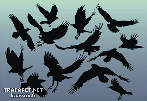 13 raven - sjabloon voor decoratie