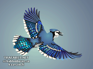 Blauwe Gaai - sjabloon voor decoratie