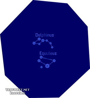 Dauphin de la constellation et petit cheval - pochoir pour la décoration