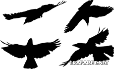 Quatre corbeaux - pochoir pour la décoration
