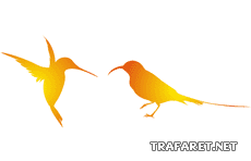 Twee kolibries - sjabloon voor decoratie