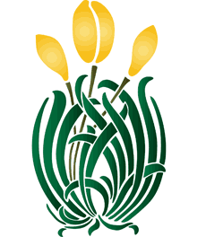 Gele tulpen - sjabloon voor decoratie