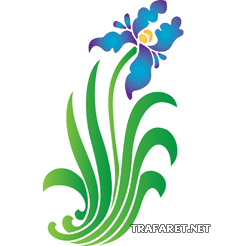 Iris 24 - sjabloon voor decoratie