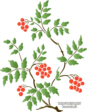 Branche de Rowan 42 - pochoir pour la décoration