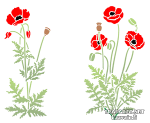 Paar klaprozen 47 (Stencils met tuin- en veldbloemen)