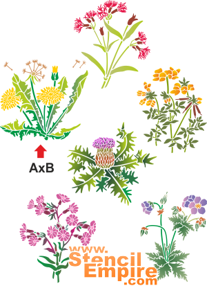 Wilde bloemen 1 - sjabloon voor decoratie