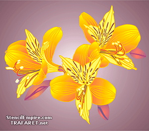 Alstroemeria - sjabloon voor decoratie