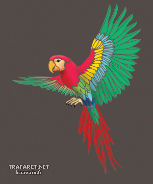 Vliegende papegaai - sjabloon voor decoratie