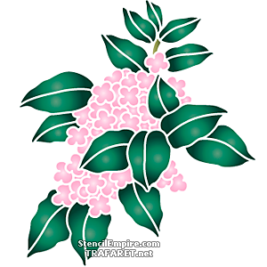 Roze hortensia tak - sjabloon voor decoratie