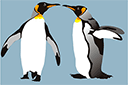 Quatre pingouins - pochoirs avec des animaux
