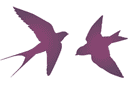 Twee zwaluwen - stencils met silhouetten en contouren