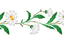 Marguerites sauvages (bordure) - pochoirs avec jardin et fleurs sauvages