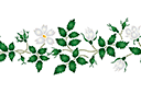 Bordure de rose musquée - pochoirs avec jardin et fleurs sauvages