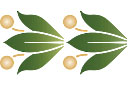 Klassiek randpatroon II - rand sjablonen met planten