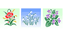 Coquelicot, perce-neige, bleuet - pochoirs avec jardin et fleurs sauvages