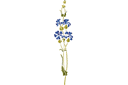 Grand bleuet 36 - pochoirs avec jardin et fleurs sauvages