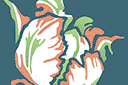 Witte tulp 3 - stencils met tuin- en veldbloemen