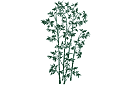 Gros bambou - pochoirs avec feuilles et branches