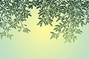 Bordure de saule - pochoirs avec feuilles et branches