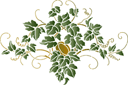Hopplant patroon - sjablonen met bladeren en takken